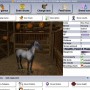 A Virtual Horse - il gioco di cavalli