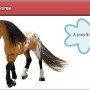 A Virtual Horse - gemma - Un pony del gioco