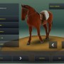 Race horse champions horse racing game for Android and iPhone
