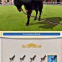 Addestramento del cavallo in My Riding Stables 3D: Rivals in the Saddle