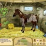My horse farm - gioco di cavalli