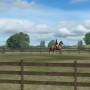 My Horse, un gioco di cavalli per iPad